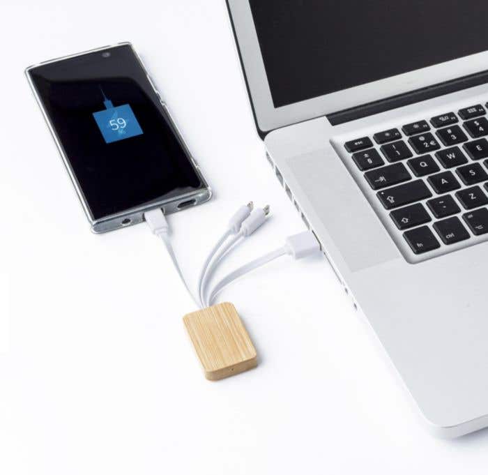 Câble de recharge Bamoconnect