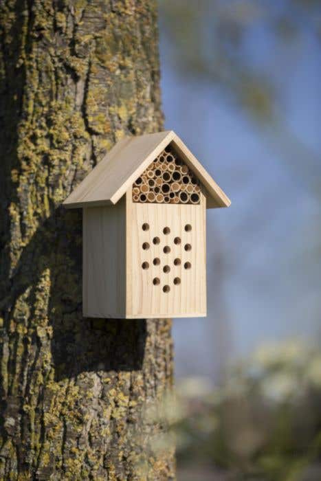 Maison à abeilles Bee House | Bois | À suspendre