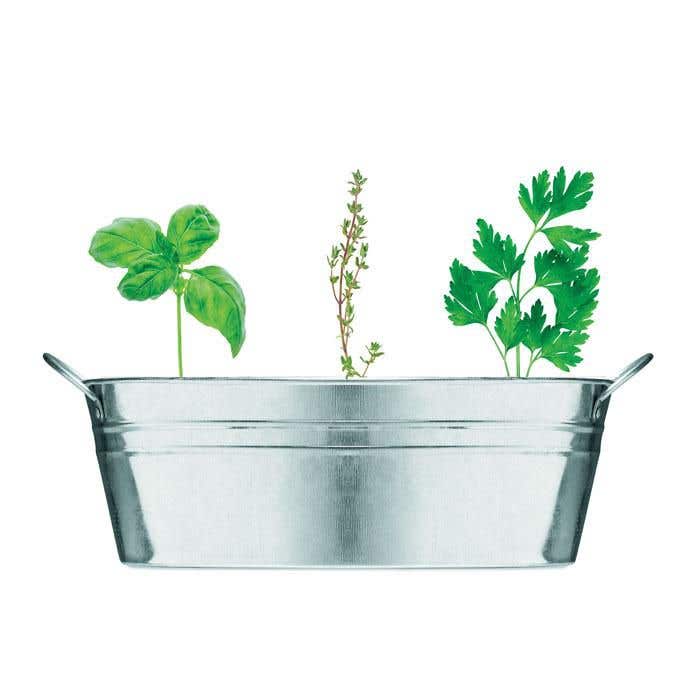 Bac à plantes Mix Seeds