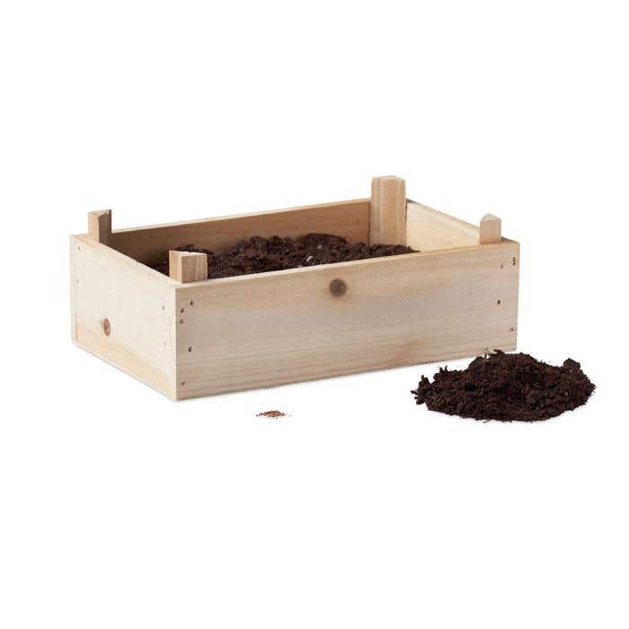 Kit de culture Strawberry