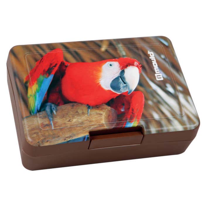 Lunch box Lunchtime Small