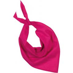 Bandana Fiesta Bandana Fiesta