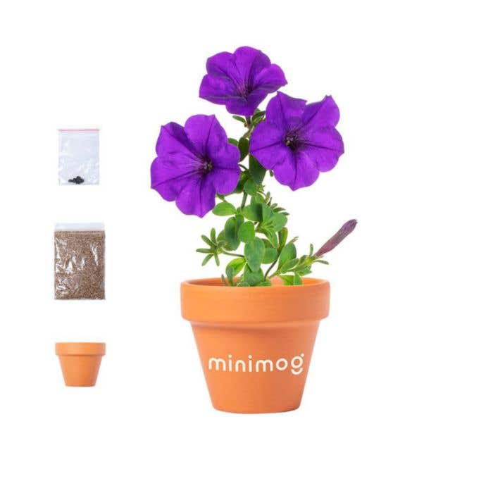 Pot de fleurs Soltax
