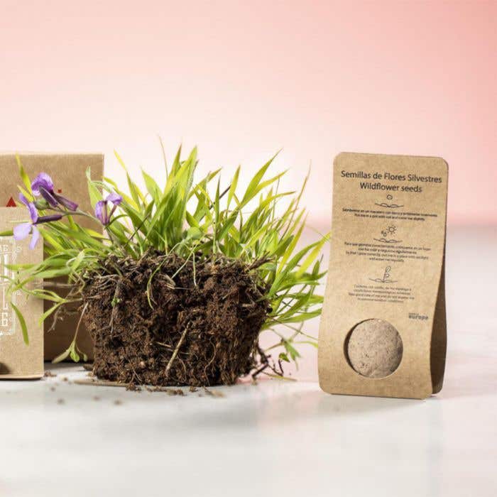 Sachet de fleurs Mussox Flowers
