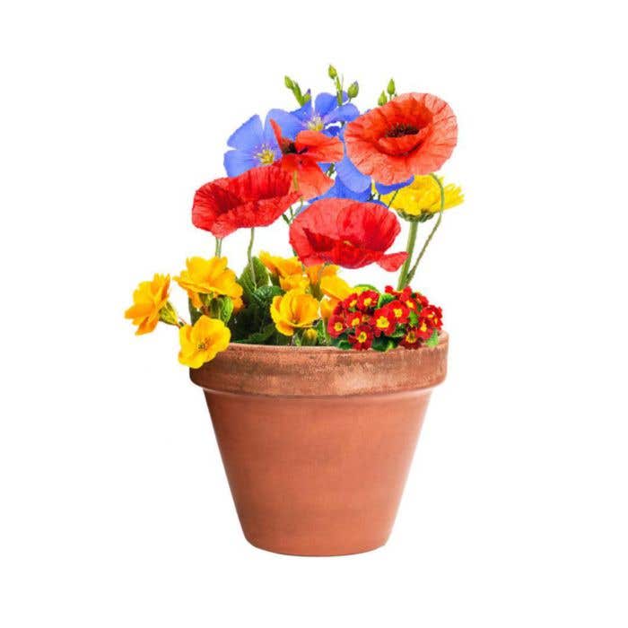 Sachet de fleurs Mussox Flowers
