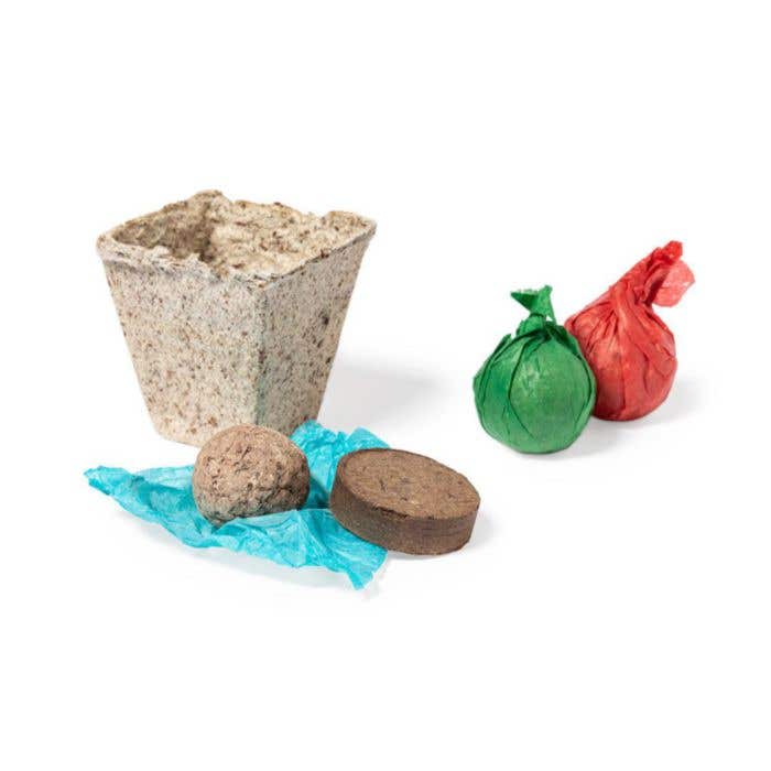 Kit de culture Mendrax